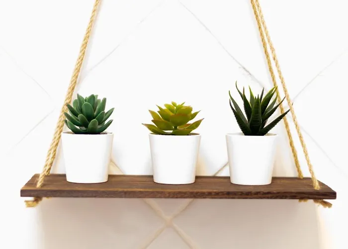 Ariome 플라야블랑카